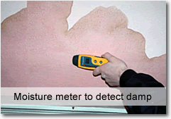 How do I know if I have a problem with Rising Damp in my building in West Bromwich?